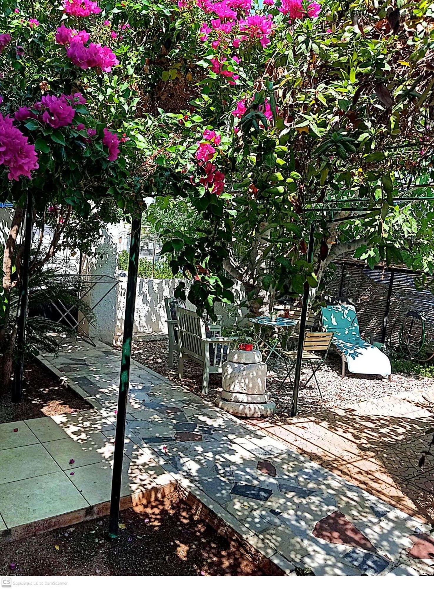 Εξοχικό Maria Villa Ambelakia ภายนอก รูปภาพ