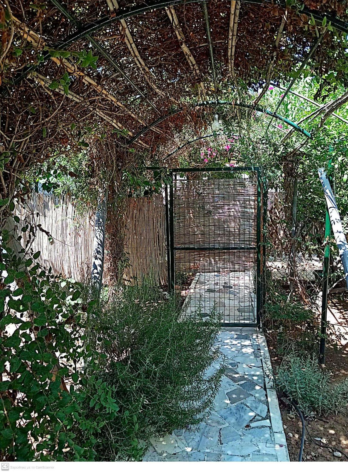 Εξοχικό Maria Villa Ambelakia ภายนอก รูปภาพ